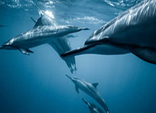 Vlog|95后省台女主播带你看中超京鲁大战